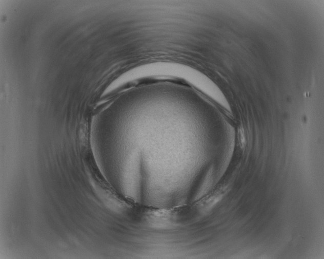 X0000082710092200702091758