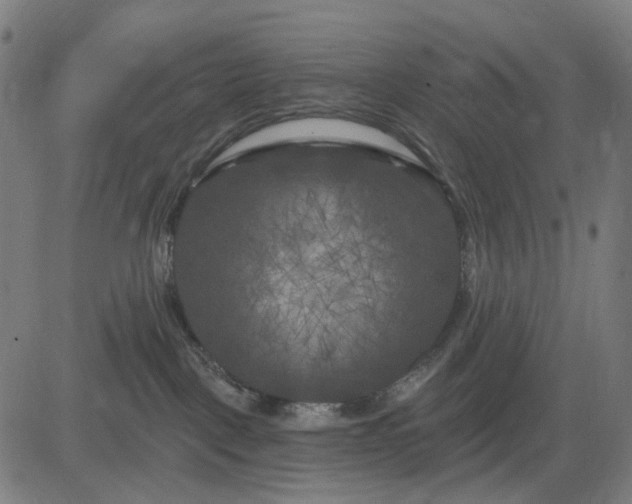 X0000082710093200702091758