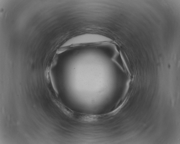 X0000082710094200702091758