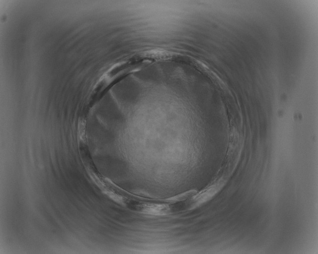 X0000082710096200702091758