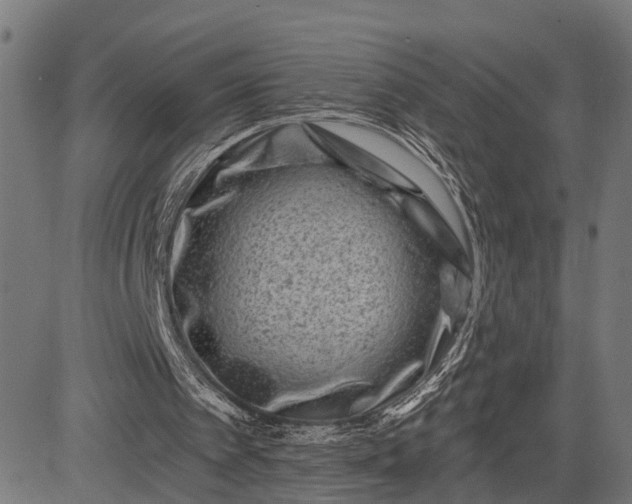 X0000082710097200702091757