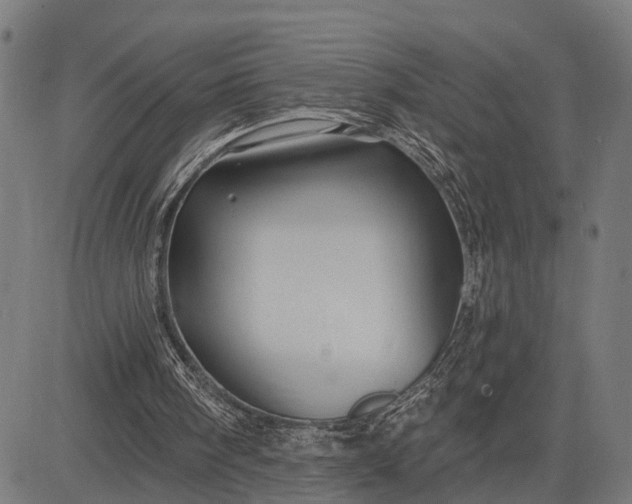 X0000082710098200702091757