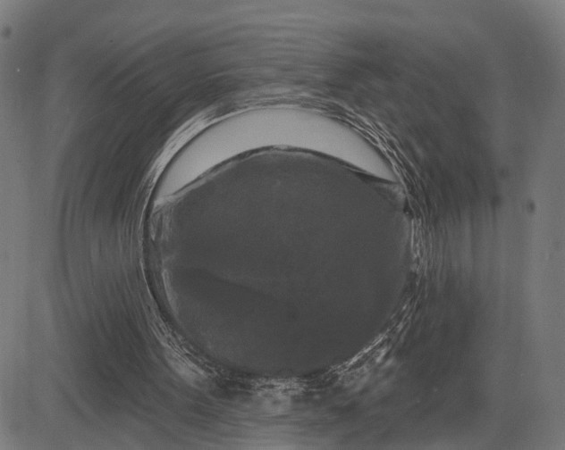 X0000082710099200702091757