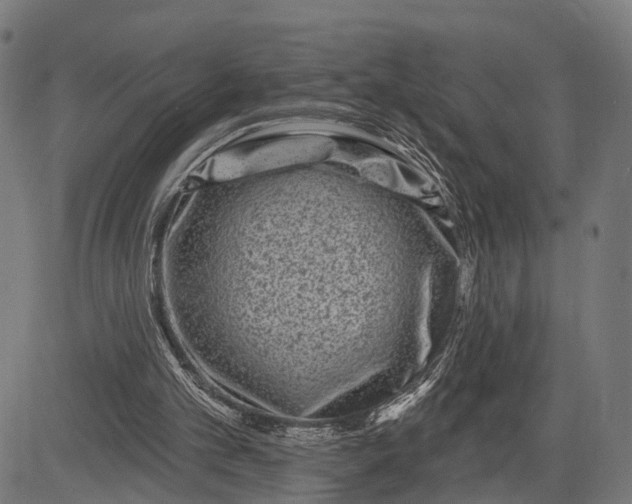 X0000082710101200702091757