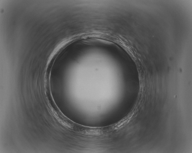 X0000082710102200702091757