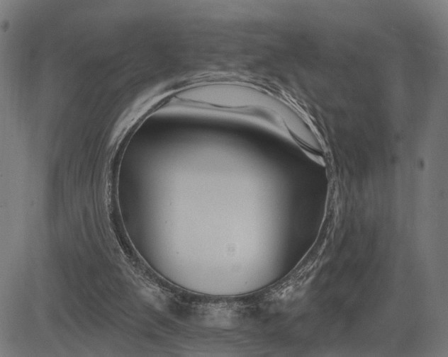 X0000082710103200702091757