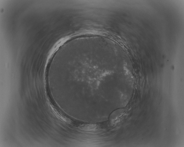 X0000082710104200702091757