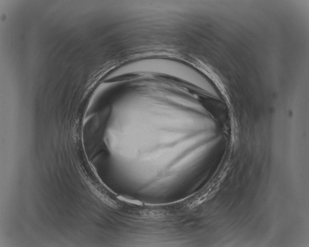 X0000082710105200702091757