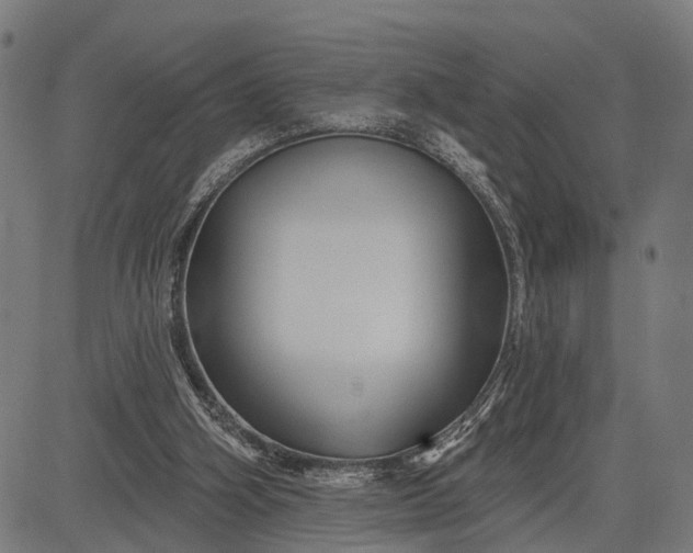 X0000082710106200702091757