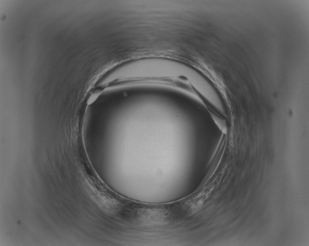 X0000082710107200702091757