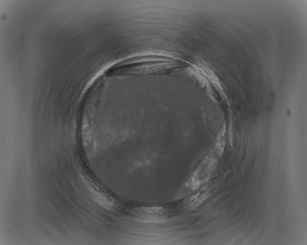 X0000082710108200702091757