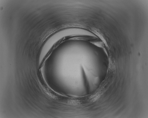 X0000082710109200702091757