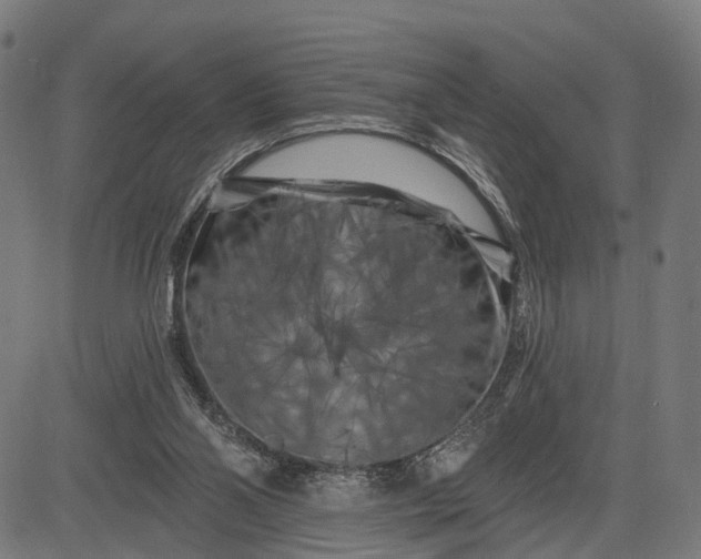 X0000082710110200702091757