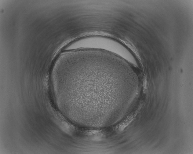 X0000082710111200702091757