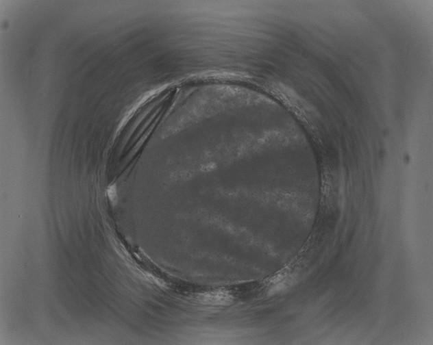 X0000082710112200702091757