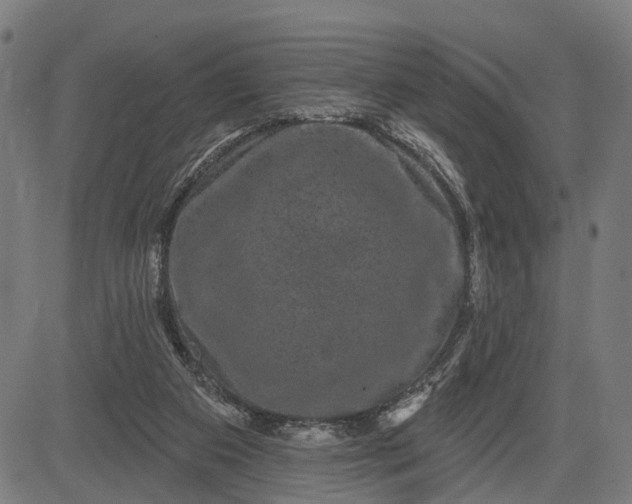 X0000082710113200702091757