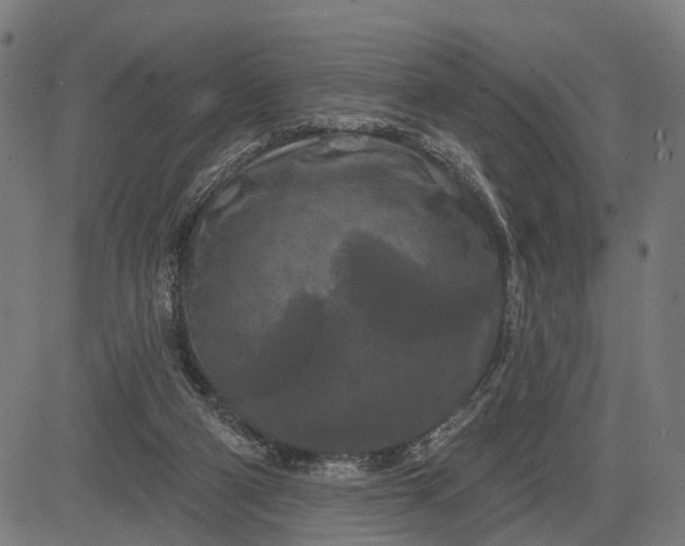 X0000082710114200702091757