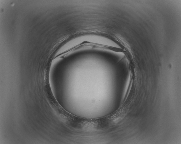 X0000082710115200702091757