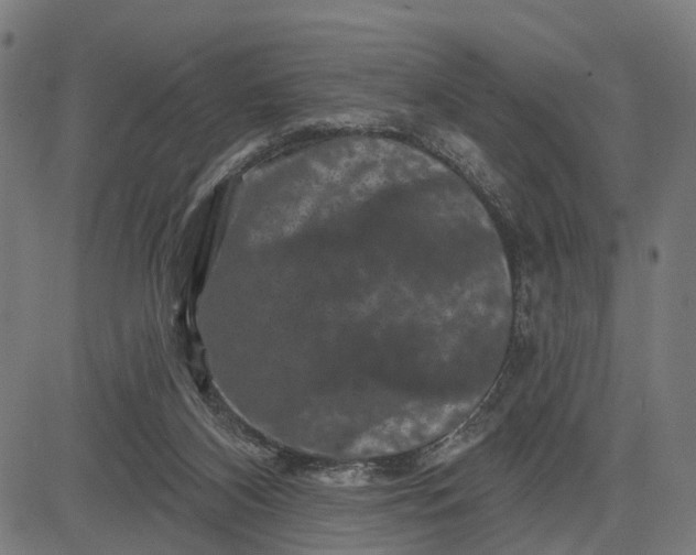 X0000082710116200702091757