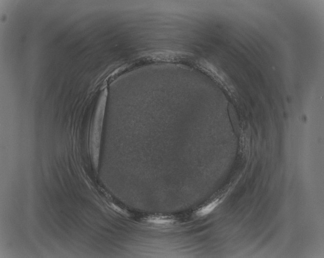 X0000082710117200702091757