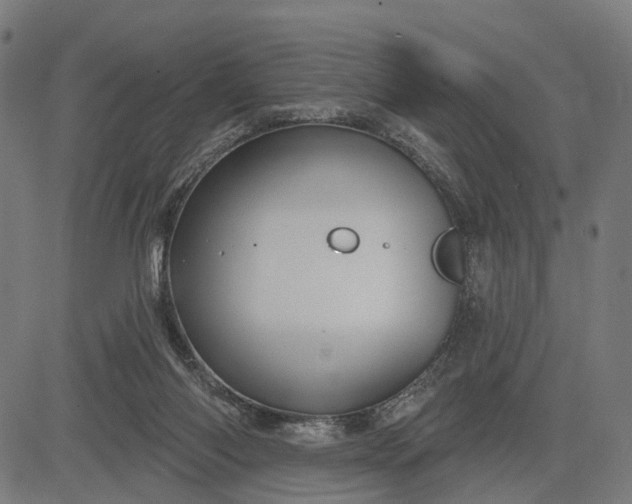 X0000082710118200702091757