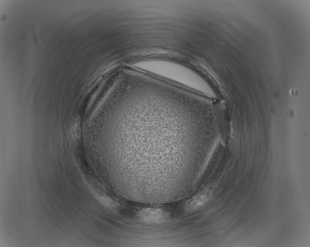 X0000082710119200702091757