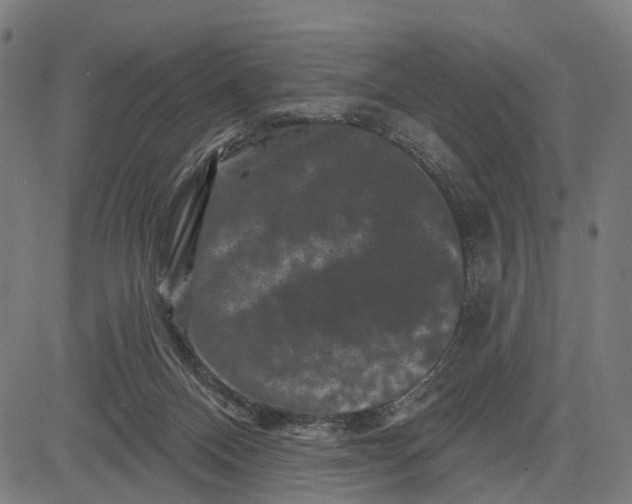 X0000082710120200702091757