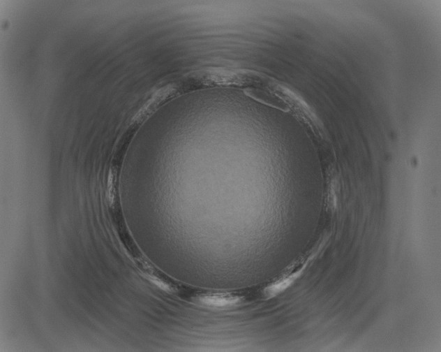 X0000082710121200702091757