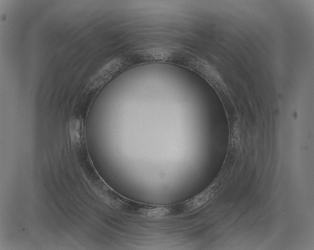 X0000082710122200702091757