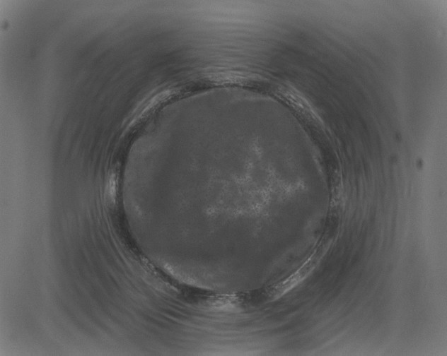 X0000082710124200702091757