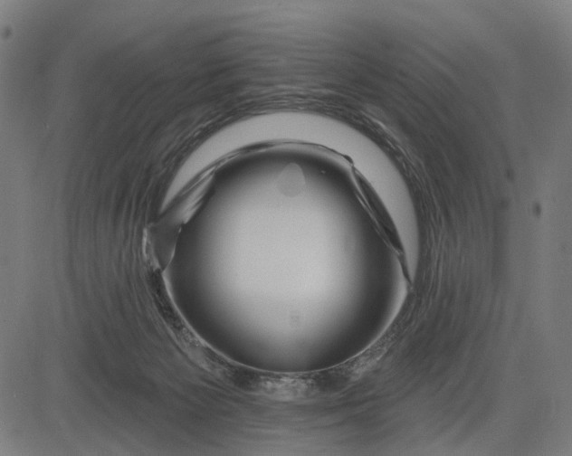 X0000082710125200702091757