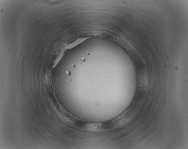 X0000082710126200702091757