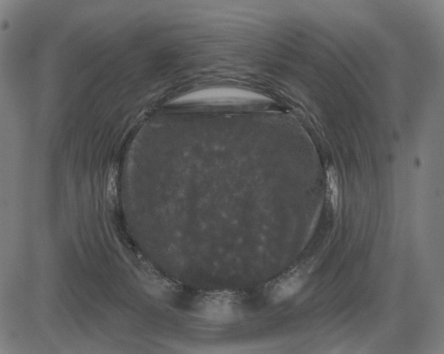 X0000082710127200702091757