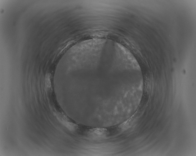 X0000082710128200702091757