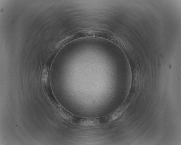 X0000082710129200702091757