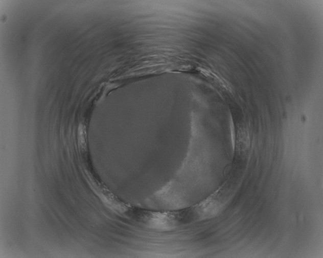 X0000082710130200702091757