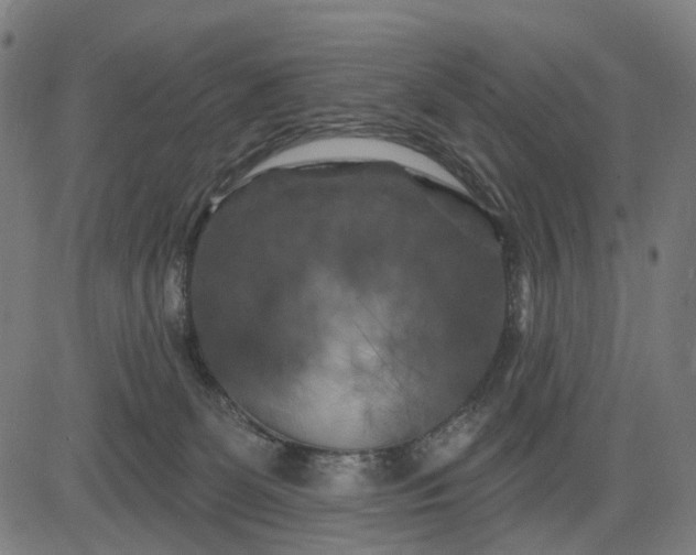 X0000082710131200702091757