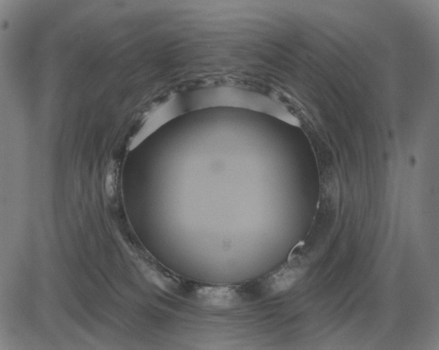 X0000082710133200702091757