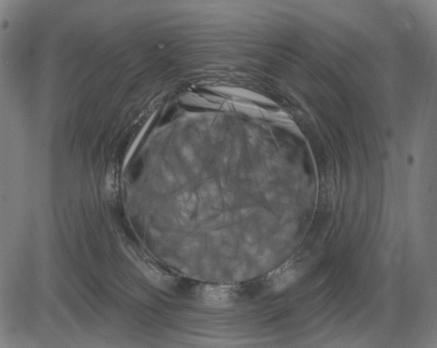 X0000082710134200702091757