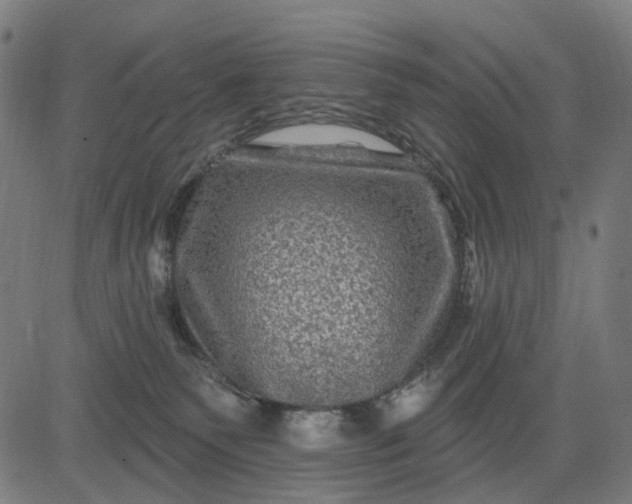 X0000082710135200702091757