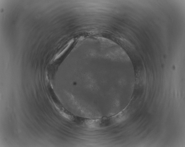 X0000082710136200702091757