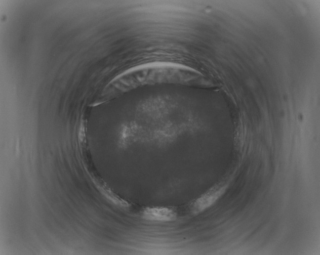 X0000082710137200702091757