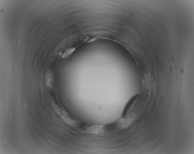 X0000082710138200702091757