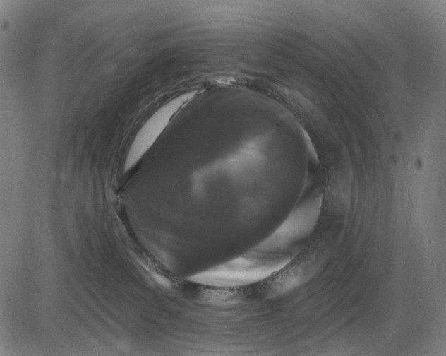 X0000082710139200702091757