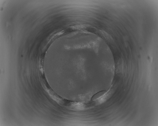 X0000082710140200702091757