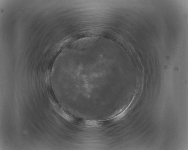 X0000082710144200702091757