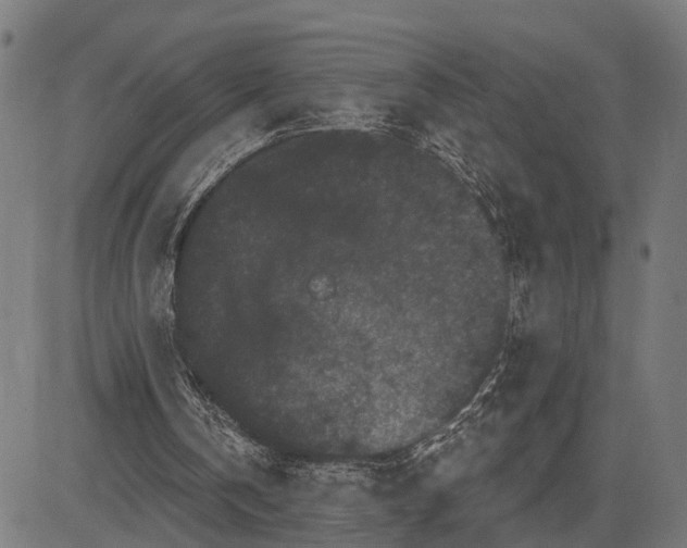 X0000082710146200702091756