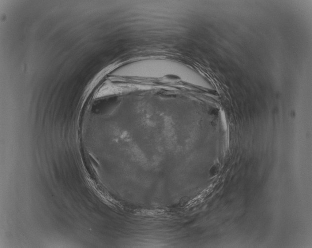 X0000082710147200702091756