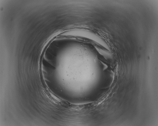 X0000082710148200702091756