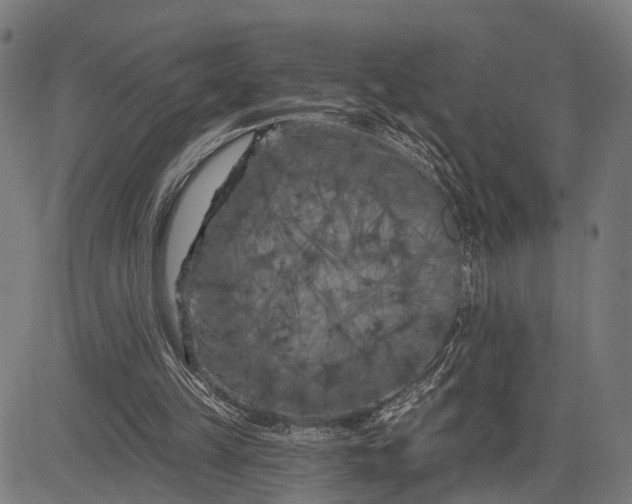 X0000082710149200702091756